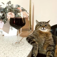 Yongbin Choi's profile picture